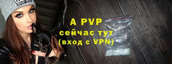 гидра Ивангород