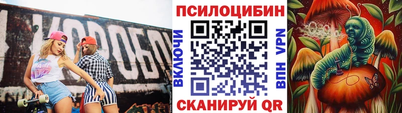 наркошоп  Электрогорск  Галлюциногенные грибы мицелий 