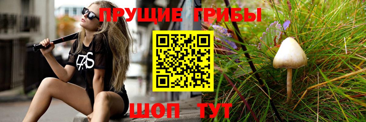 Псилоцибиновые грибы GOLDEN TEACHER Электрогорск