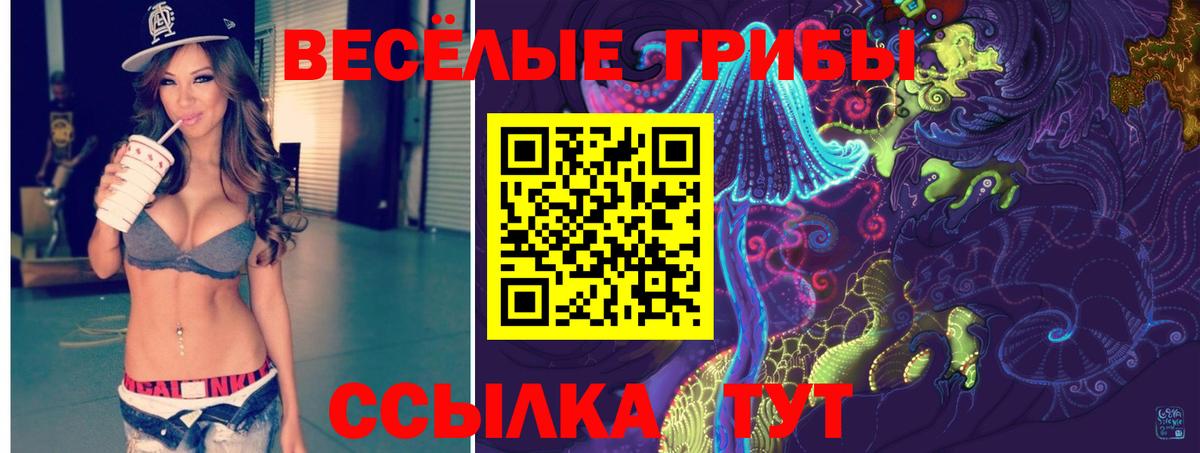 Псилоцибиновые грибы Psilocybine cubensis  Электрогорск 