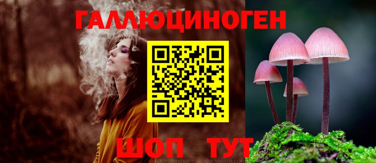 ГАШ Электрогорск