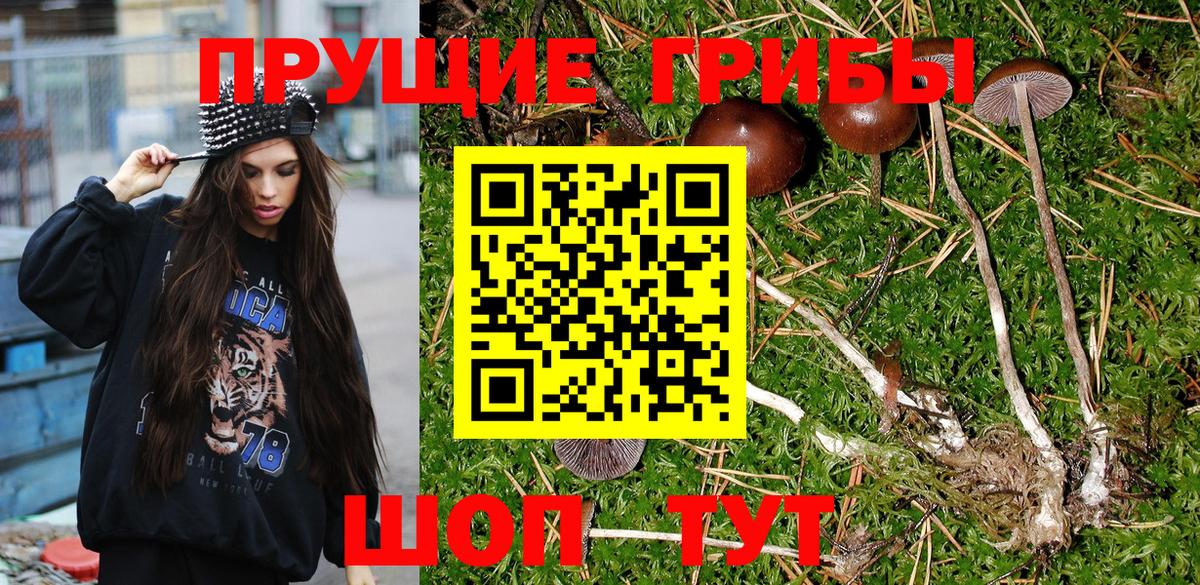 Галлюциногенные грибы GOLDEN TEACHER Электрогорск