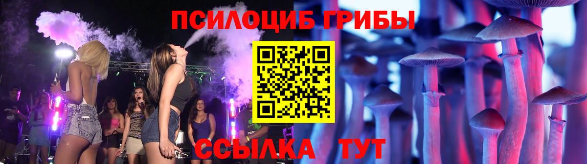 Галлюциногенные грибы мухоморы  Псилоцибиновые грибы мухоморы  где купить наркоту  Вход с VPN  Электрогорск 